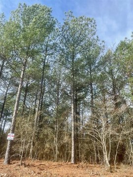 LAND - Broken Bow, OK