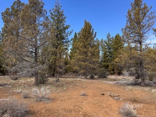 Secluded Woodland Retreat For Sale