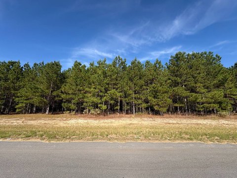 Land, Williston, SC