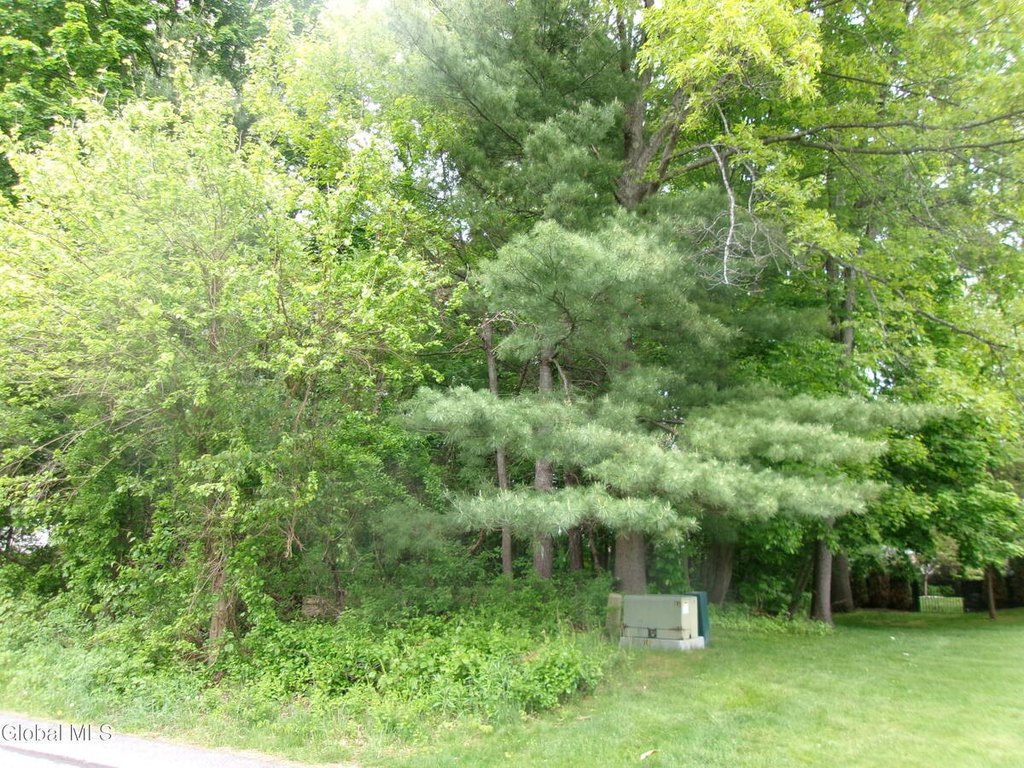 Picture 4