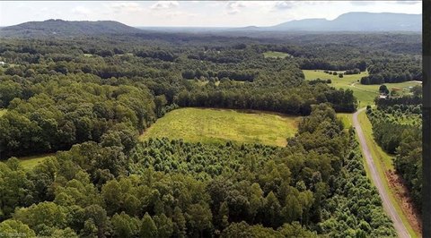 Land, Pilot Mountain, NC