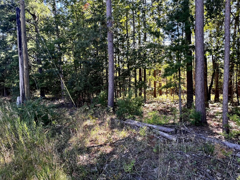 Picture 15