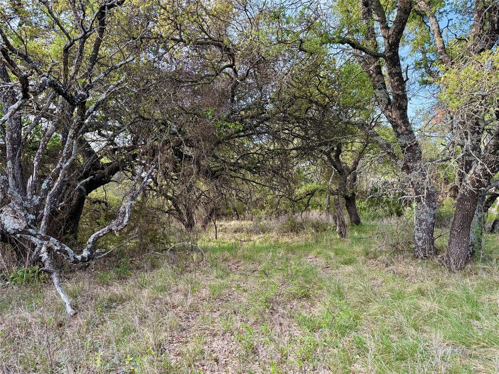 Picture 12