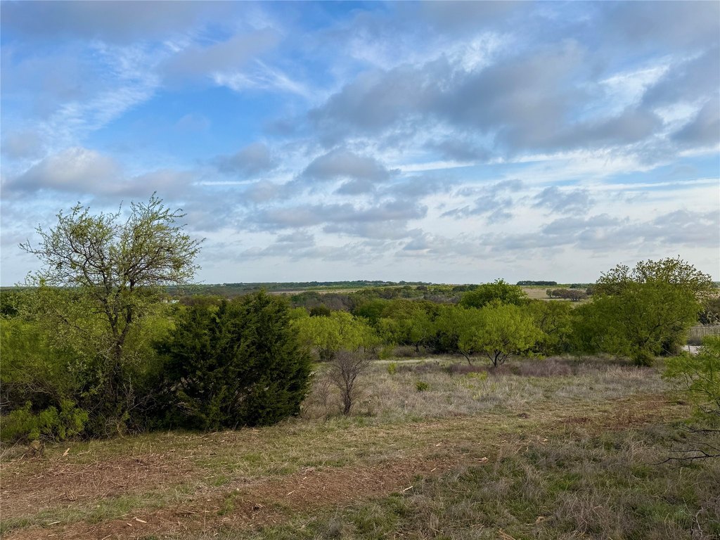 Picture 18