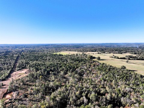 Timber Recreation Acreage with Creek