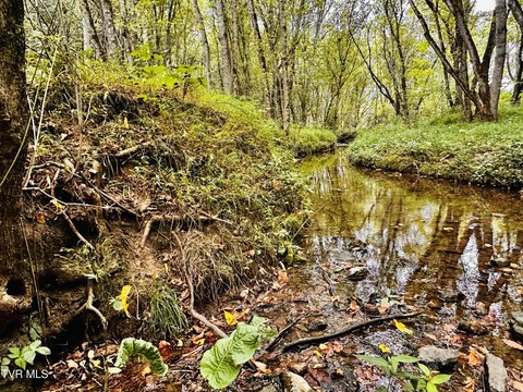 Greeneville Land with Mountain Views