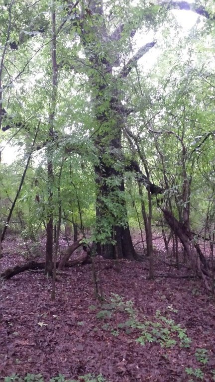 Picture 3