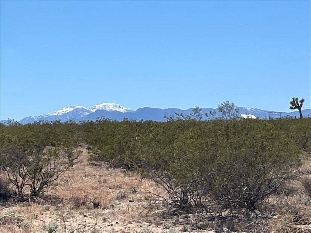 Joshua Tree Land with Views