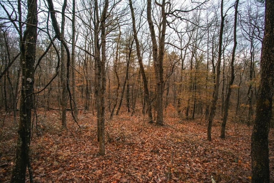 Picture 8
