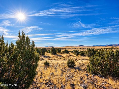 Land, Concho, AZ