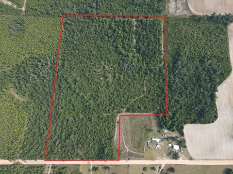 Hunting Land with Tree Cover