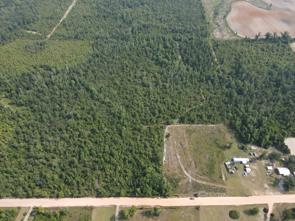 Picture 4