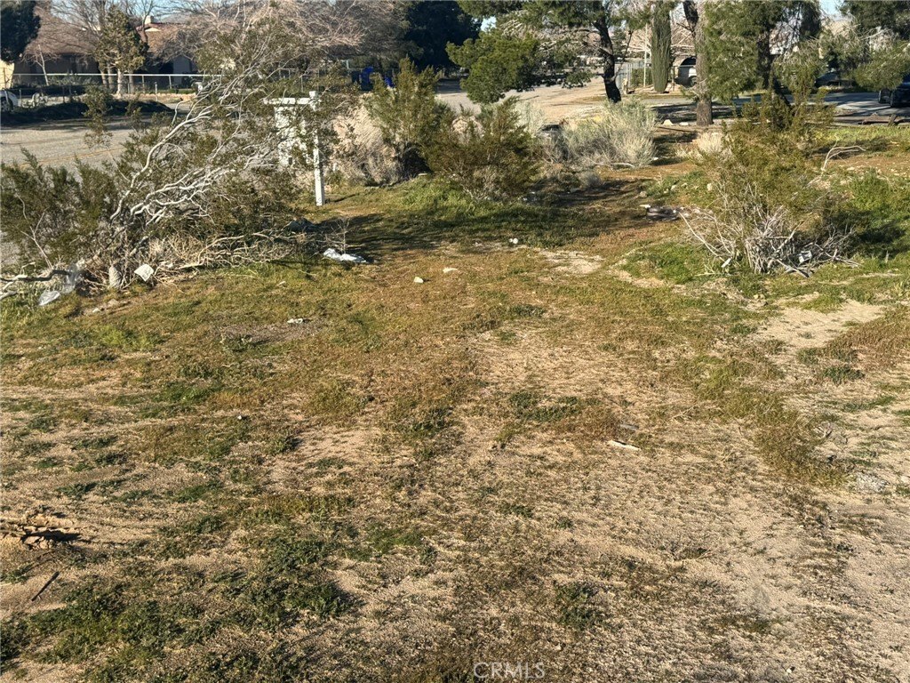 Picture 4