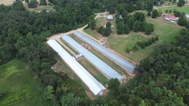Broiler Farm in Star City, AR