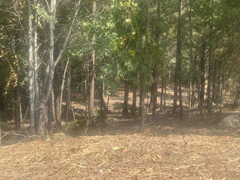 Cleared Land in Stonegate Subdivision