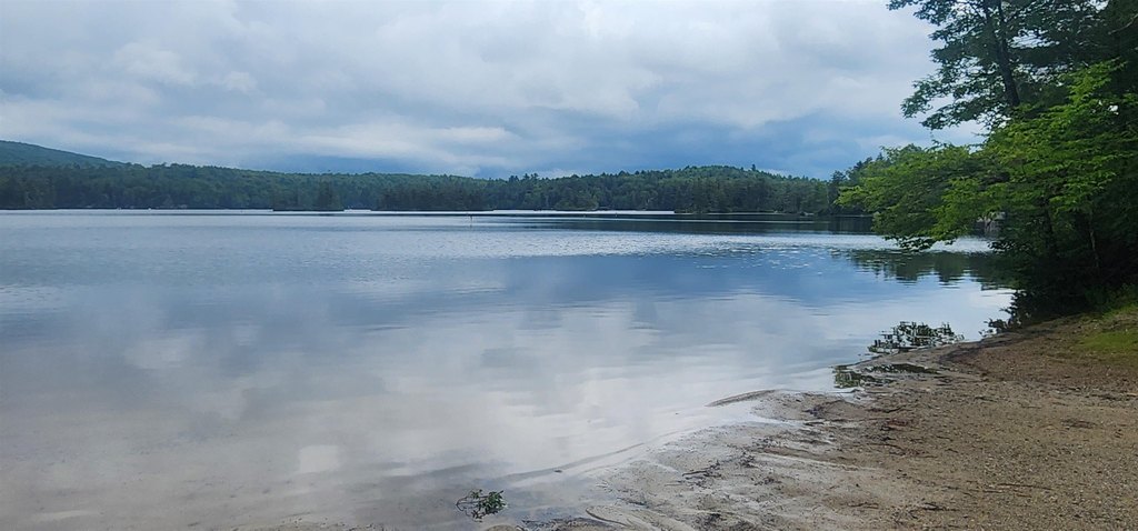 Picture 10