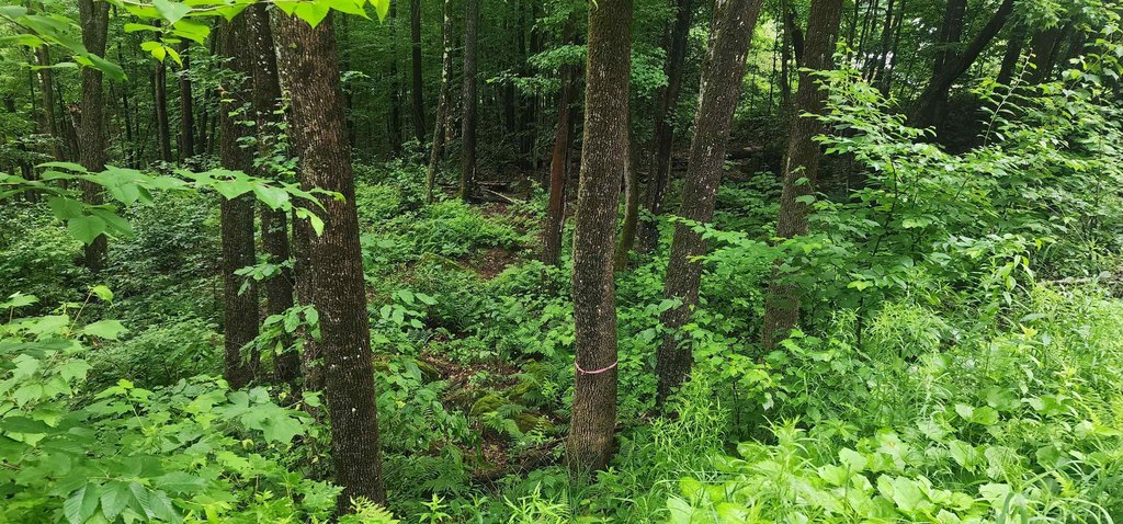 Picture 7