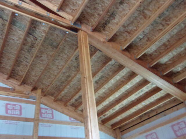 Picture 15