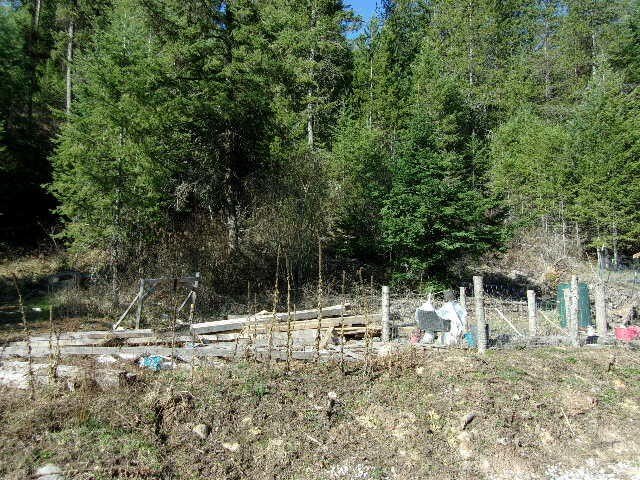Picture 7