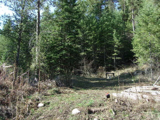 Picture 9