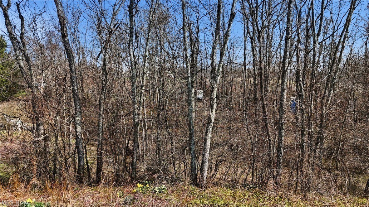 Residential Lot Near Senecaville Lake