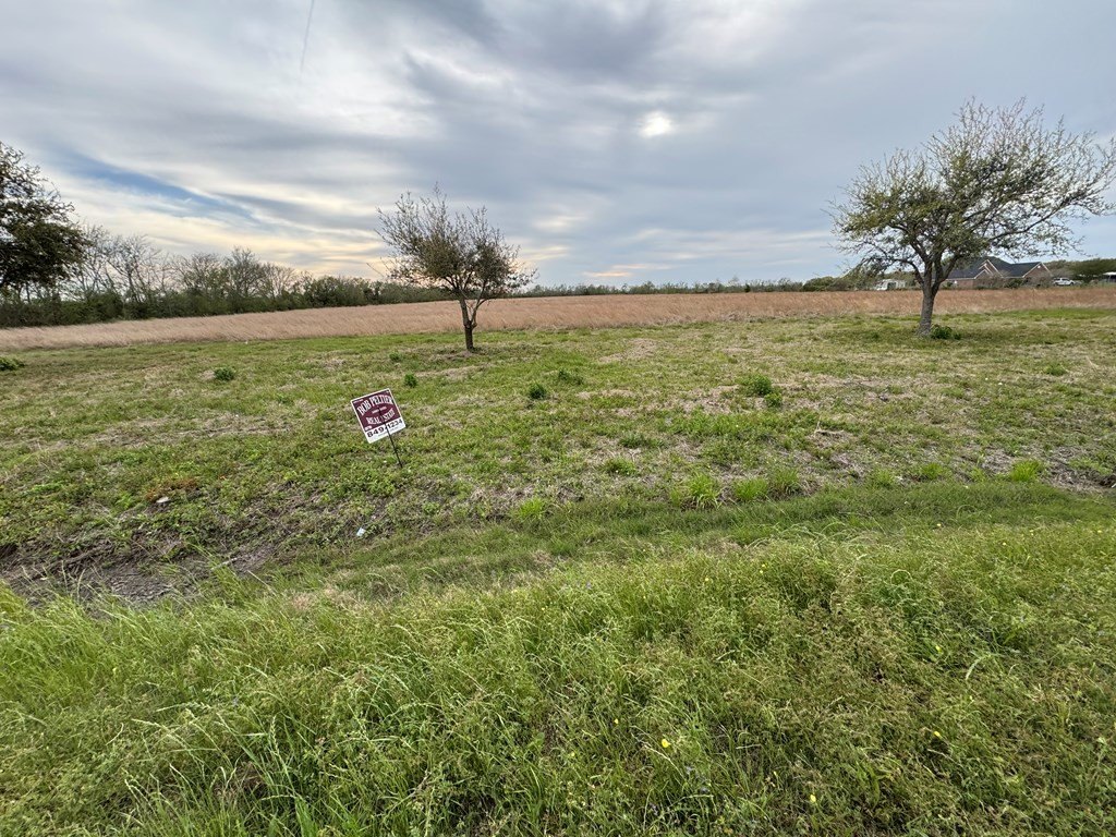 Picture 14