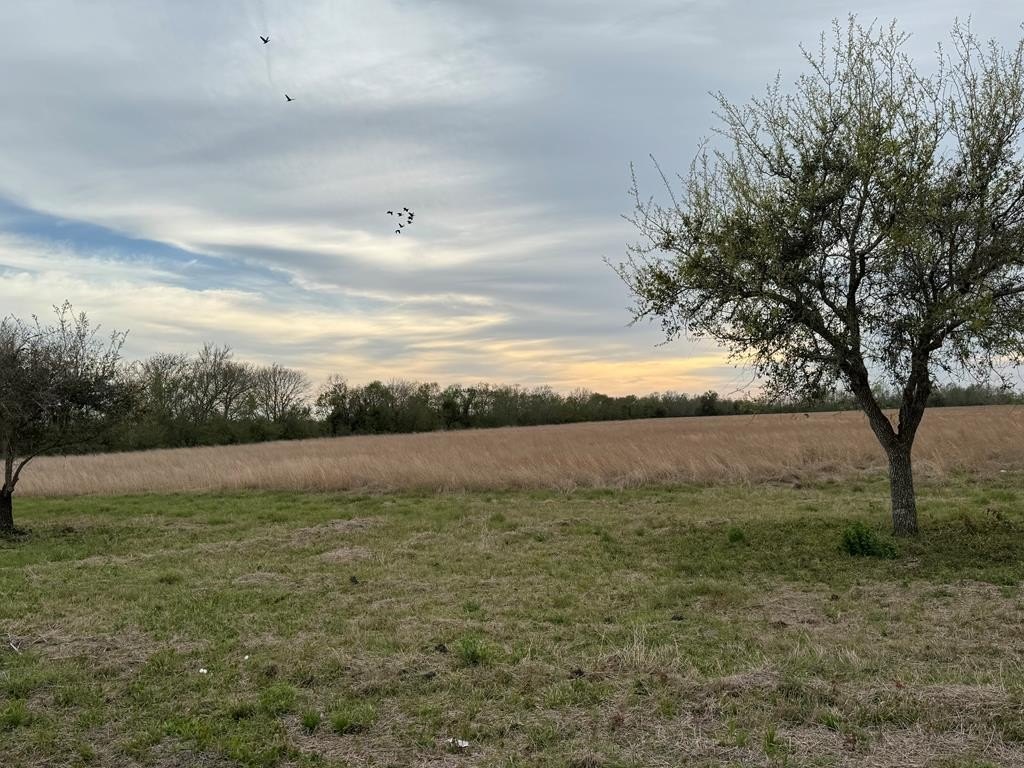 Land For Sale, Danbury, TX