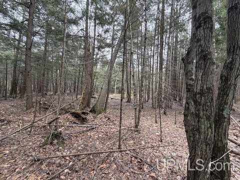 Secluded 10-Acre Recreational Land