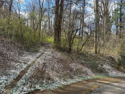 Wooded Lot in Dillardtown, Sylva
