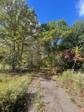 Land, Grasston, MN