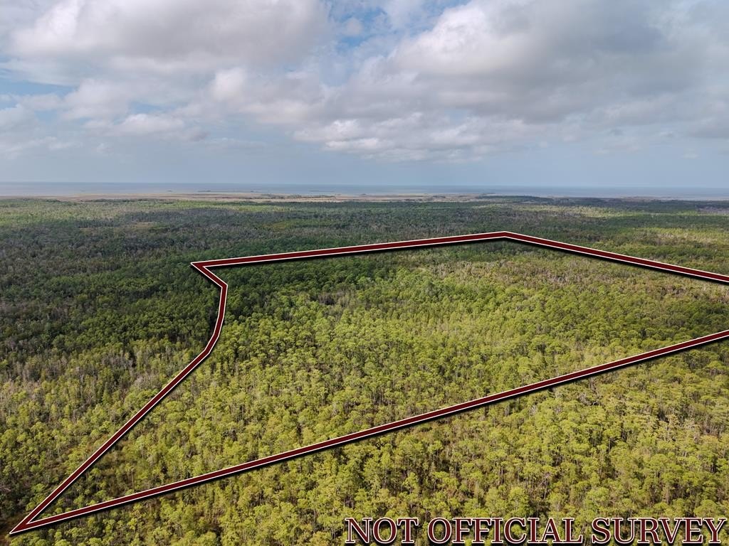 28 Acres Hunting Land