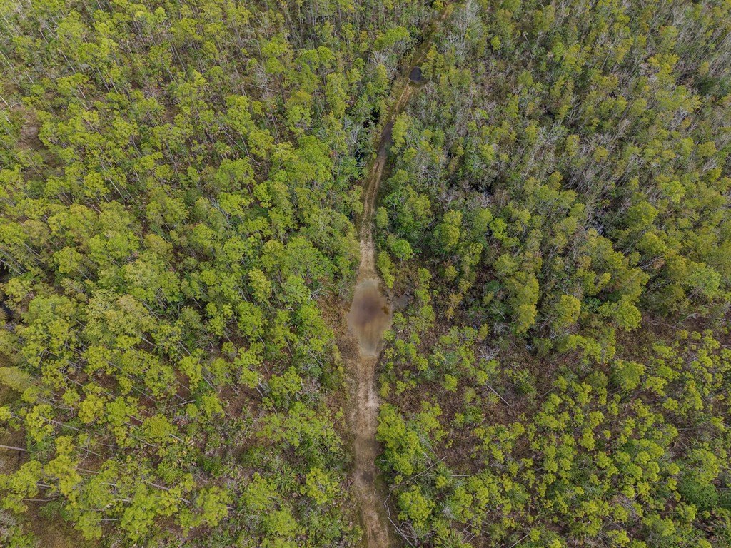 Picture 3