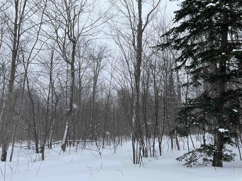 Retreat Land with Framed-Ready Cabin
