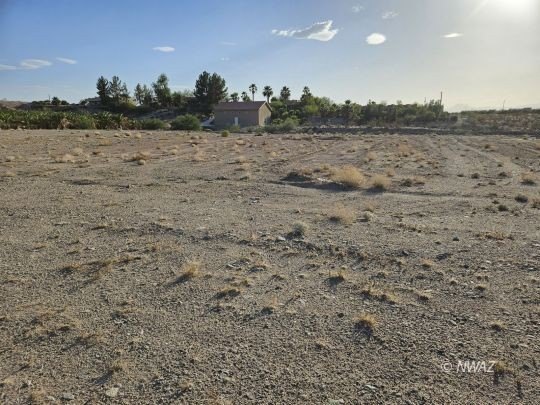 Residential Lot in Littlefield, AZ