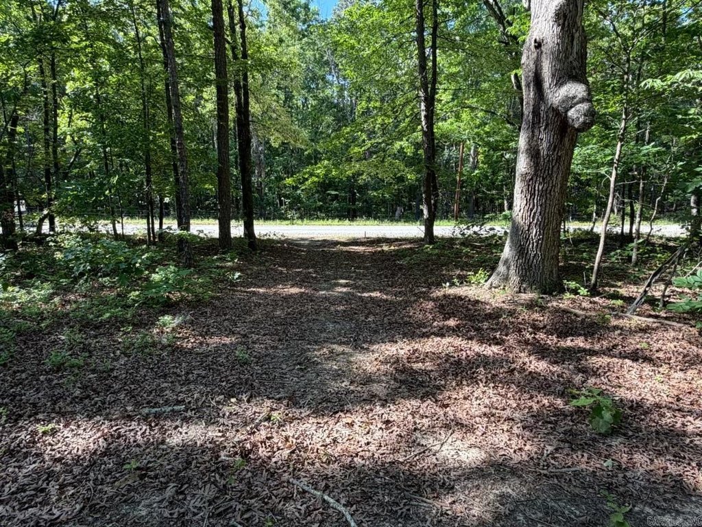 Picture 4