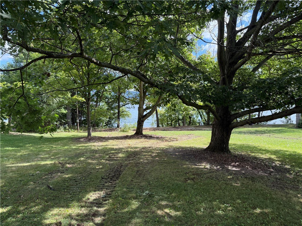 Picture 19