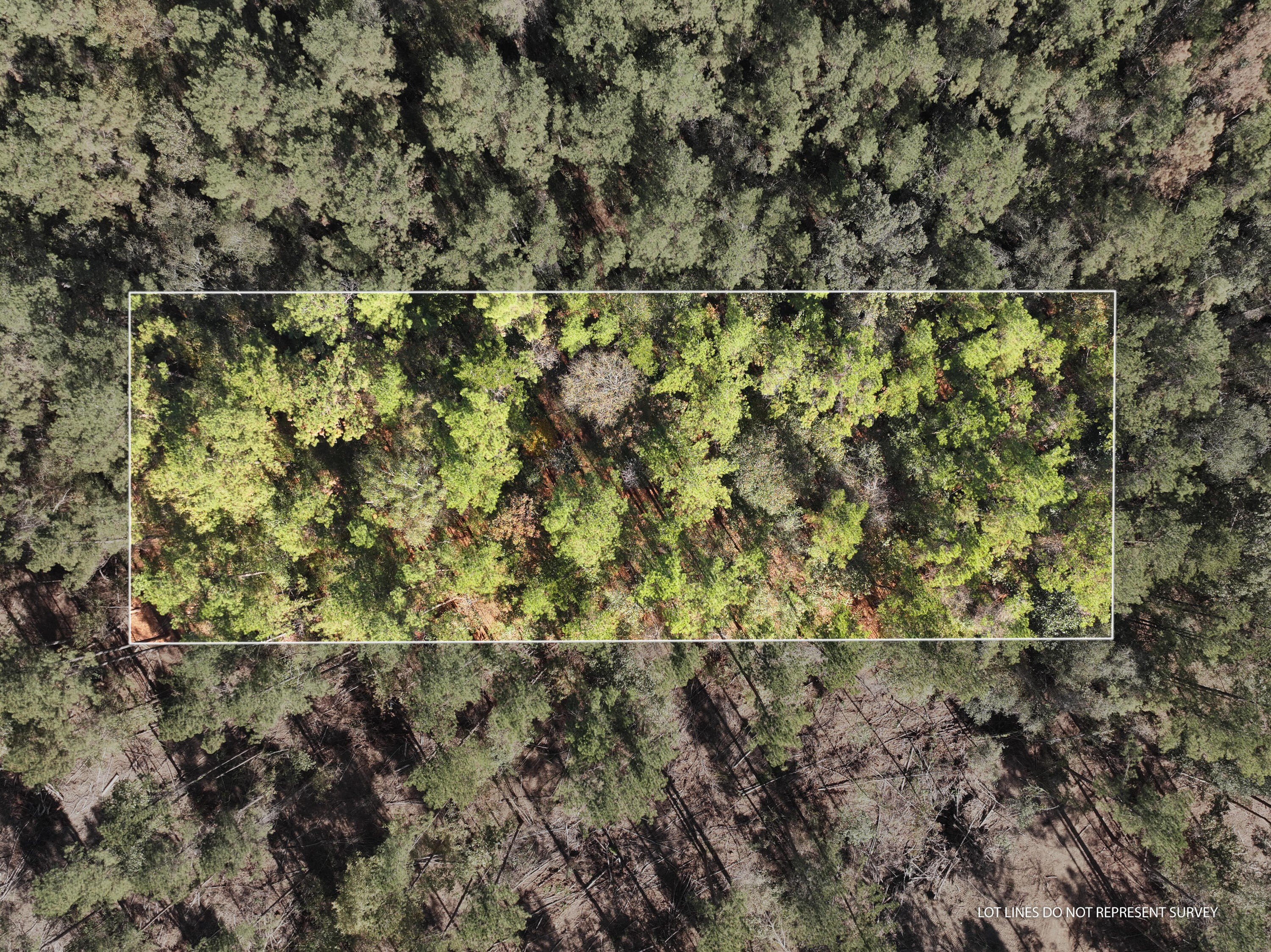 Residential Land Near Leaf River