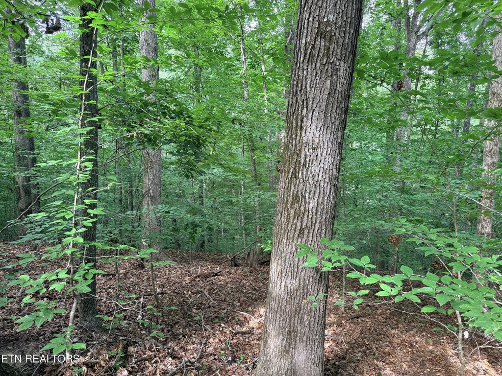 Picture 16