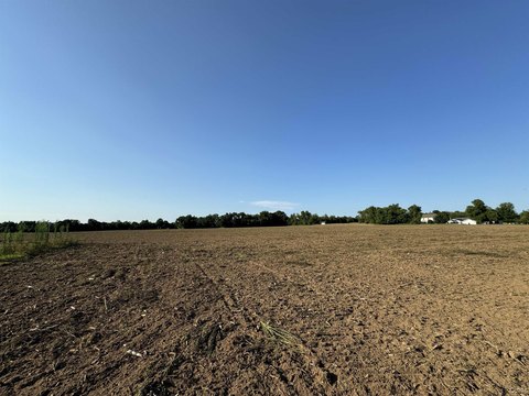 Vacant Farmland Parcel with Road Frontage