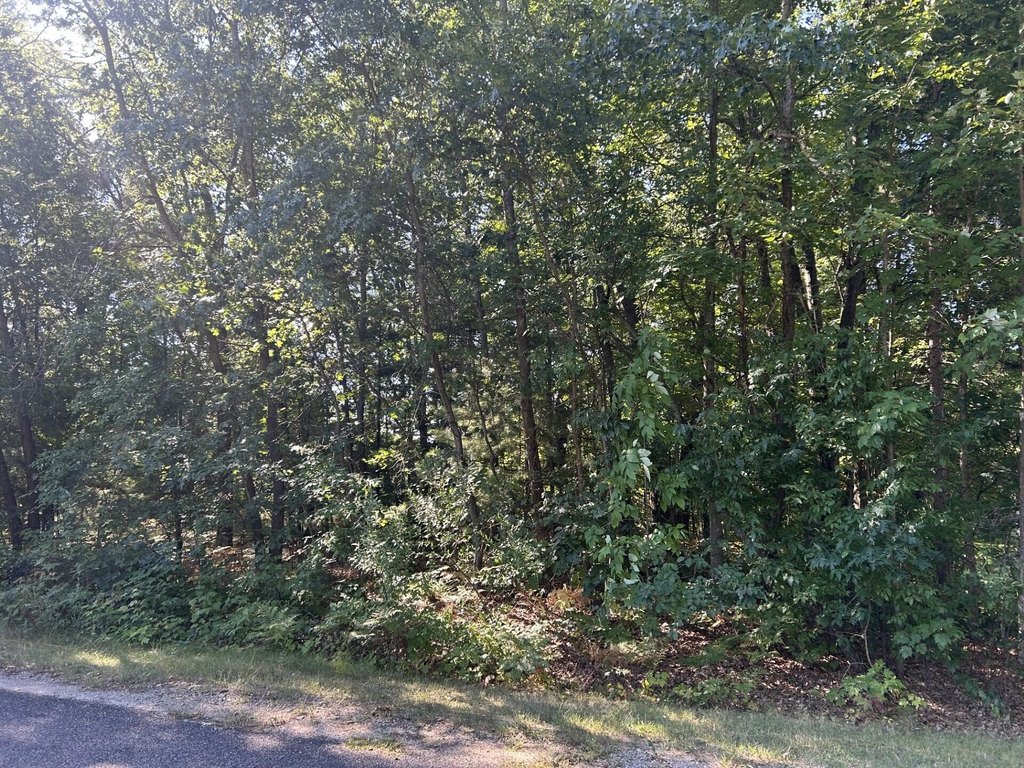 Picture 7