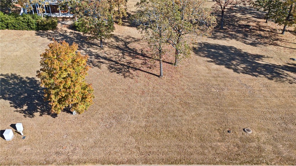 Picture 5