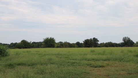 Land with Paved Road Frontage