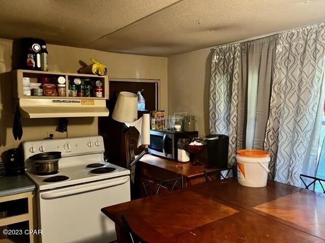 Picture 34