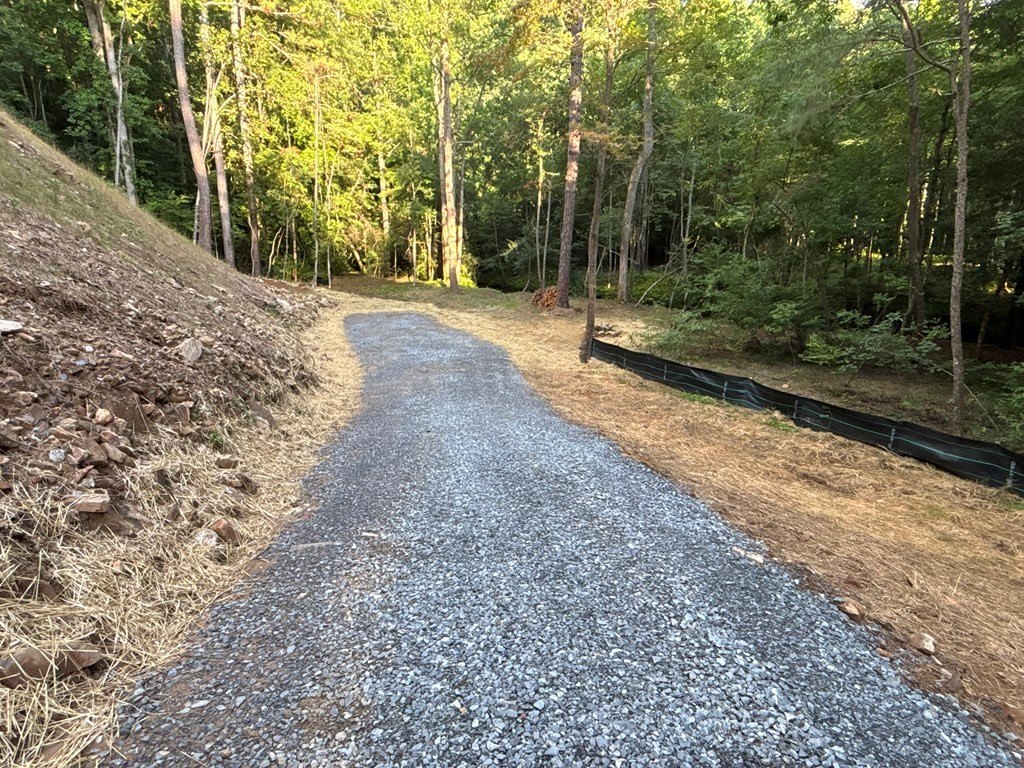 Picture 14