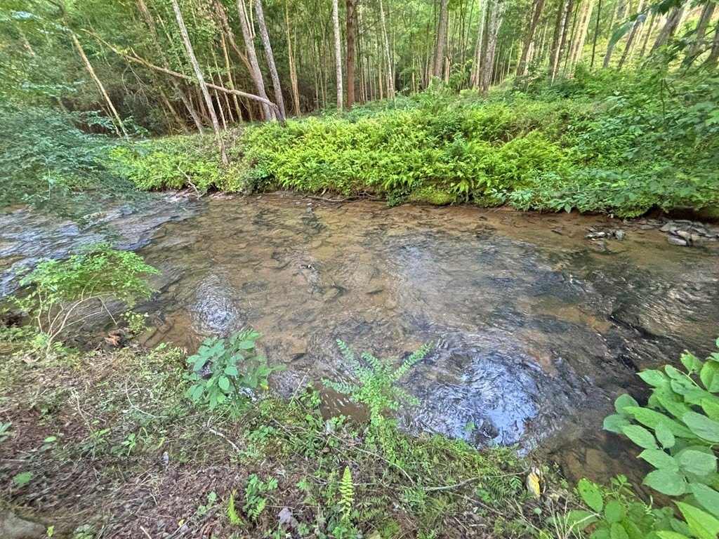 Picture 36