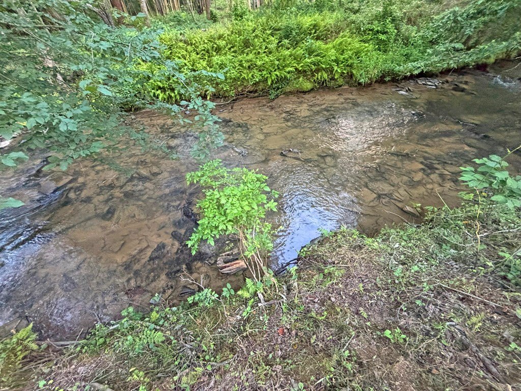 Picture 41