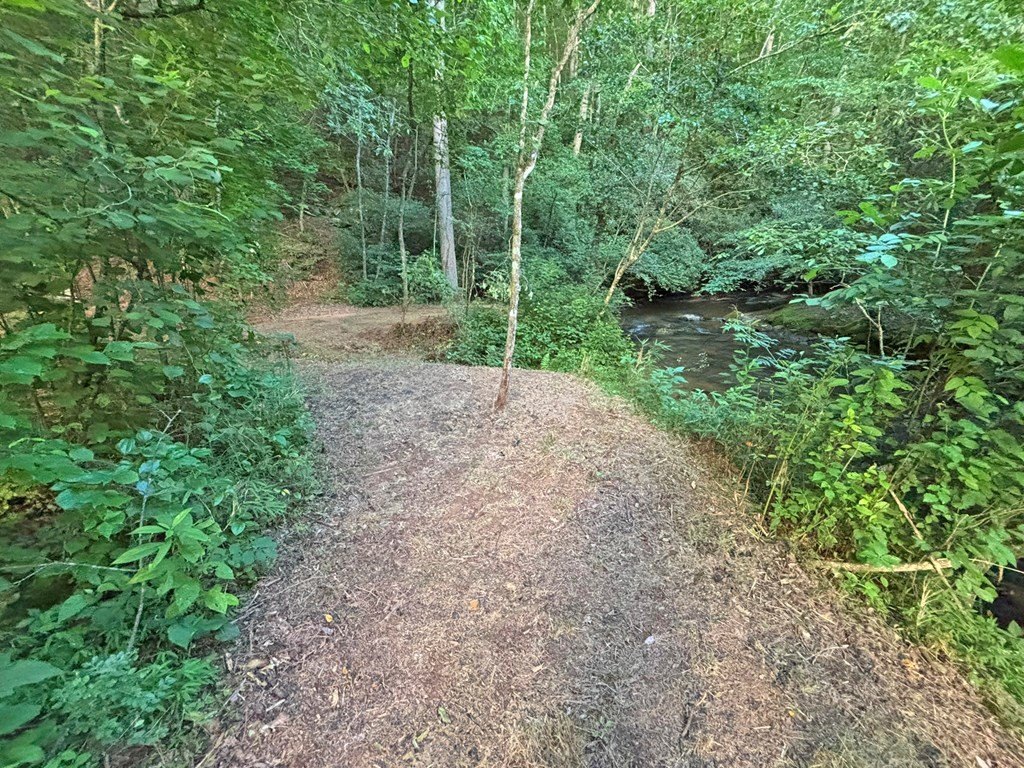 Picture 23