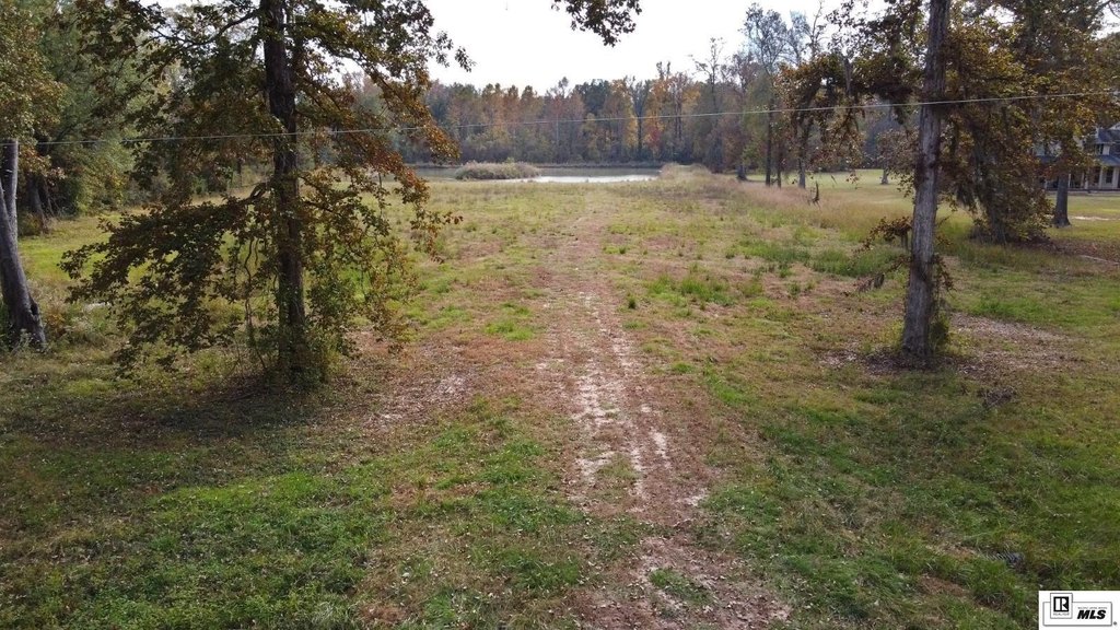 Picture 3