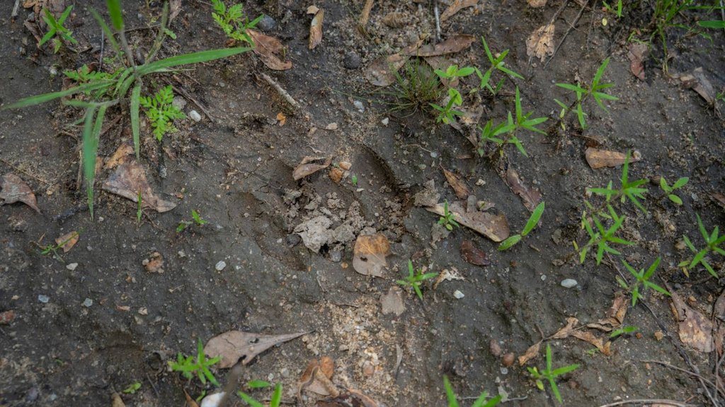 Picture 25