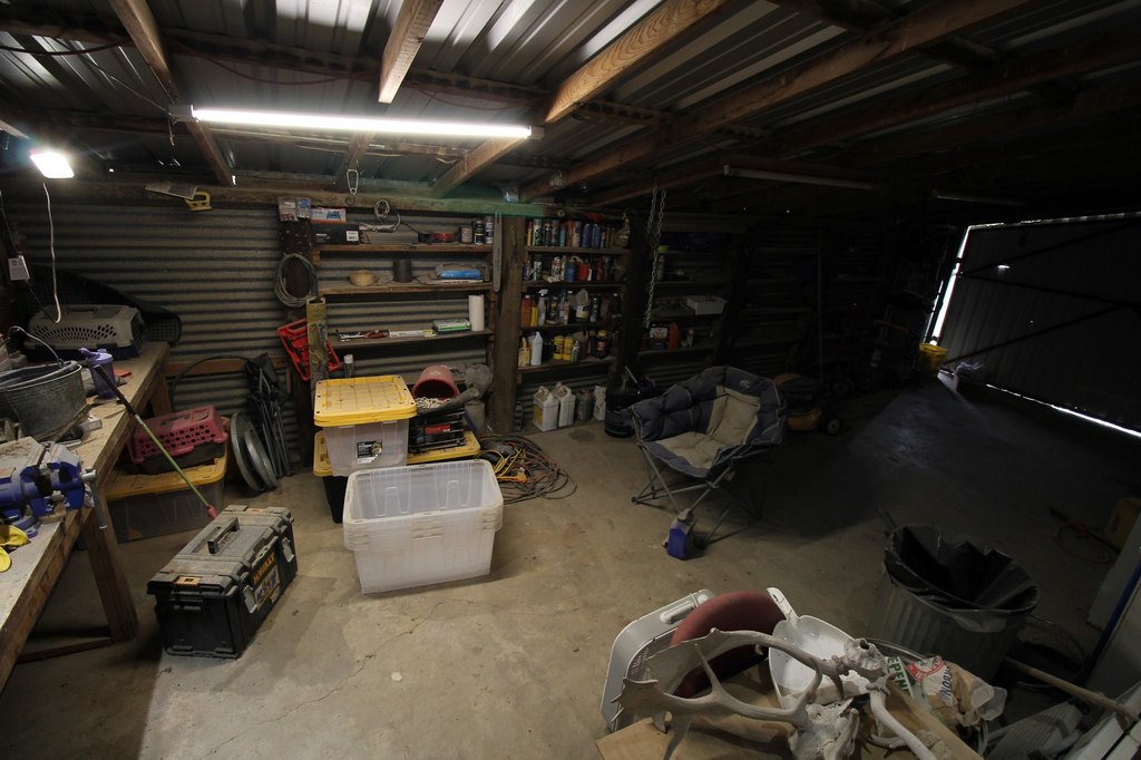 Picture 31